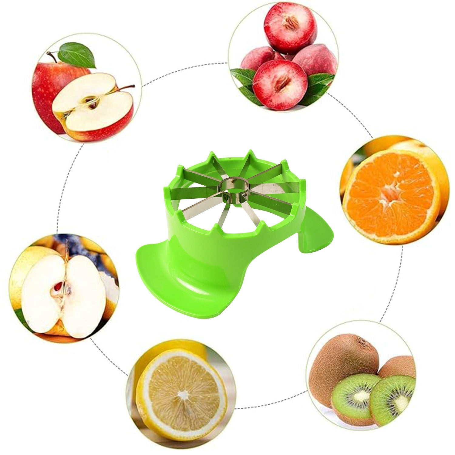 Apex Apple Cutter with Container – Unbreakable ABS Body & Stainless Steel Blades Apex Apple Cutter with Container – Unbreakable ABS Body & Stainless Steel Blades